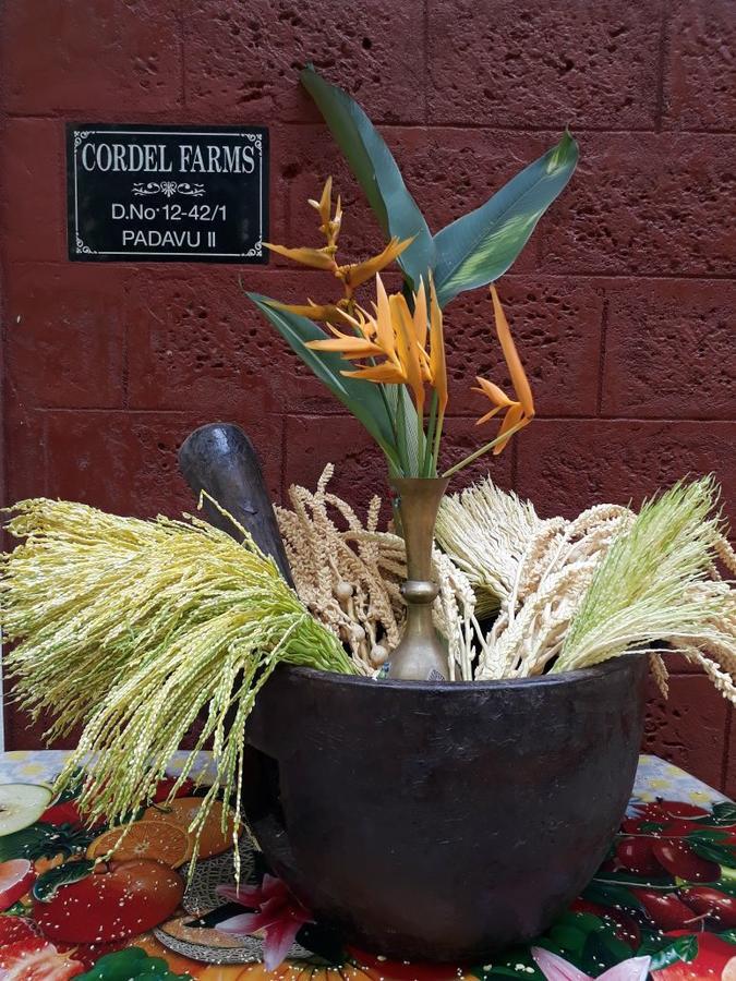 Cordel Farms Mangalore Buitenkant foto