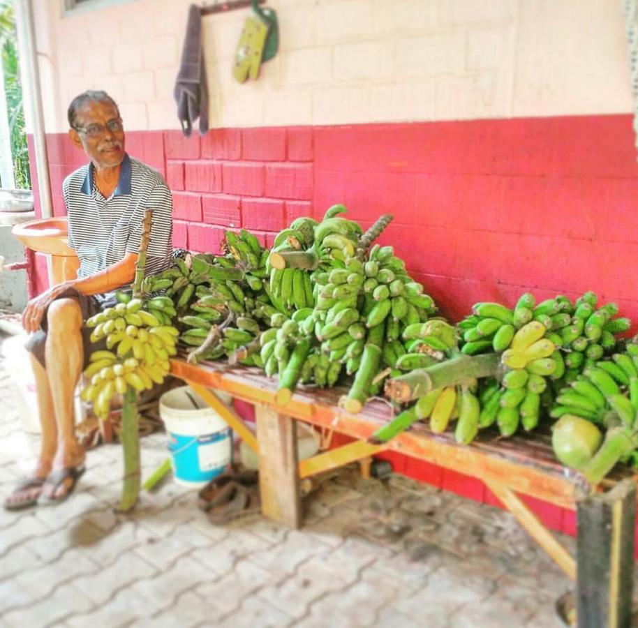Cordel Farms Mangalore Buitenkant foto