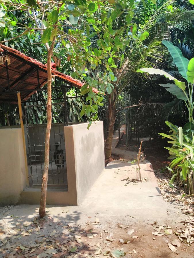 Cordel Farms Mangalore Buitenkant foto
